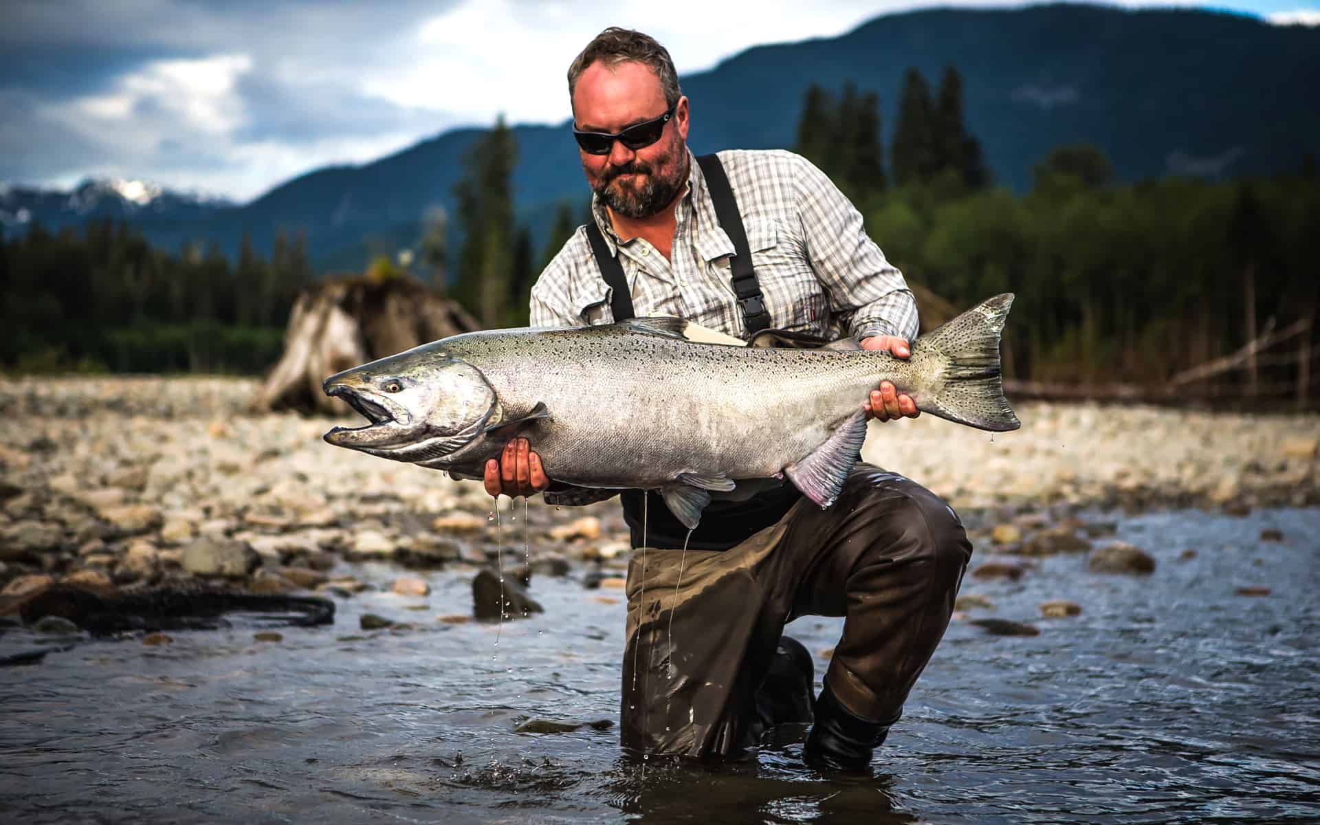 Ловля на дальний. King Salmon (Chinook). Чавыча Камчатка. Чавыча рыба. Рыбалка на Камчатке.